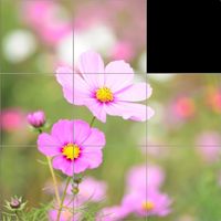Flower Slide Puzzle