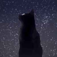 Seize the Night