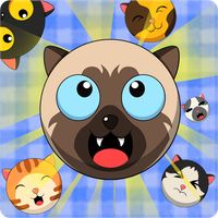 Watermelon Game: Cat