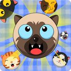 Watermelon Game: Cat