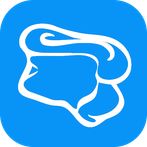 Shagai - Traditional Mongolian