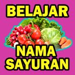 Belajar Nama Sayuran