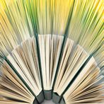 Test Muslim, Quran, Hadith