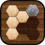 Wood Block Puzzle Classic Pro