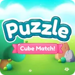 Puzzle Cube Match