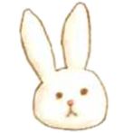 Rabbit English Quiz