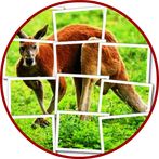 Kangaroo Puzzle