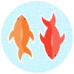 Fish for Cats - Cat Fishing