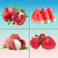 Fruit Memory Matching Game
