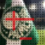 Word Search Palmeiras