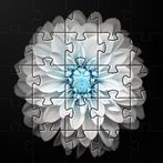 Flowers Jigsaw Puzzles Games