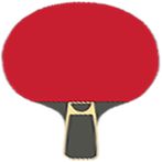 Pingpong King V999