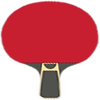 Pingpong King V999