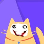 Tu Perds Tu Cries (Quiz cultur