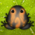 Pocket Frogs: Tiny Pond Keeper