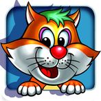 Cat Pet Care