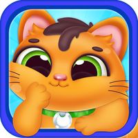 Little kitty pet life story