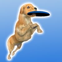 Frisbee Dog