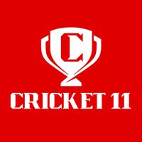 Cricket 11