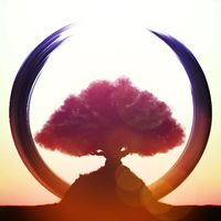 Kanso, your moment of Zen