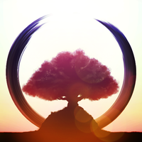 Kanso, your moment of Zen