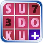 Amazing Sudoku Numbers