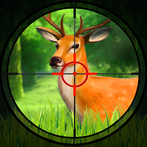 Animal Hunting : Games 2025