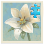 Inner Garden: Flower Garden 1