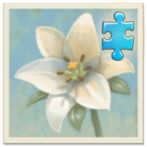 Inner Garden: Flower Garden 1
