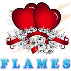 F.L.A.M.E.S.