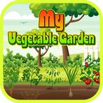 My Vegetable Garden