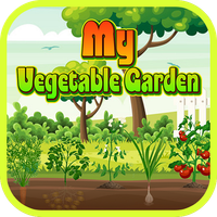 My Vegetable Garden