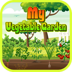 My Vegetable Garden