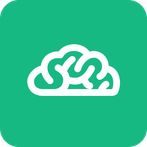 보자마자 브레인 M