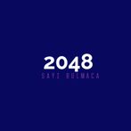 2048 SAYI BULMACA