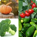 Guess The Vegetables