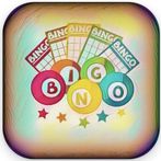 Bingo lottery