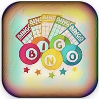 Bingo lottery