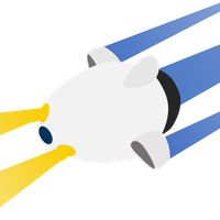 Sustainable Sea Survey Team