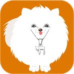 גבי בטוטה צופר לך