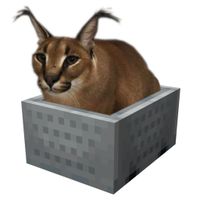 Большой шлёпа