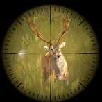 Call of the Hunt