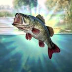 Bobber Fishing - Fishing game