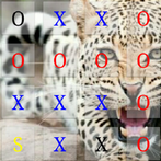 Tic Tac Toe Z Animals 2