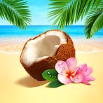 Nature Connect: Match & Merge