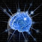 Speed Brain