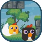 Square Eggs