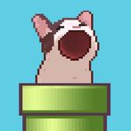 Flappy PopCat