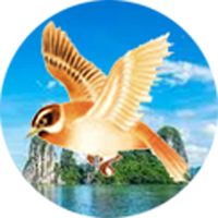 Trò chơi cánh chim thần kỳ God