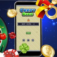 CrazyBird3